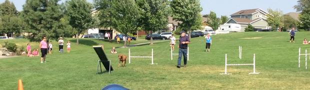 Barefoot in the Park 2017:
IMG_2166