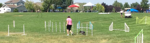Barefoot in the Park 2017:
IMG_2247