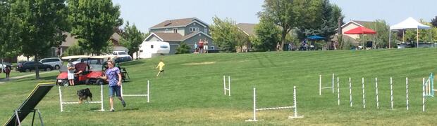 Barefoot in the Park 2017:
IMG_2255