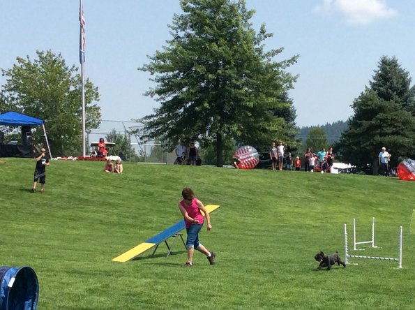 08470C15-181B-4E0D-BCF9-694500193820