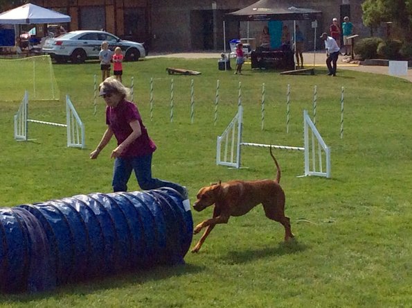 1926E991-B59C-4FA8-A3D9-F41DA11E8DBD