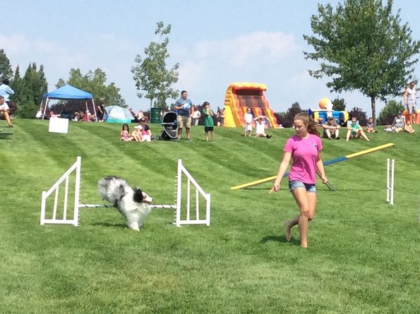 2DCC5058-F0B6-4220-83EC-6F3F185C8BE1