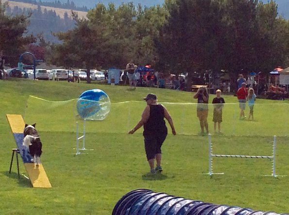 4B91877F-CBD7-4514-9B99-C68219EC247F