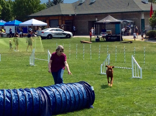 6D99ABAE-7FA2-456B-83B5-324C07D9C7D3