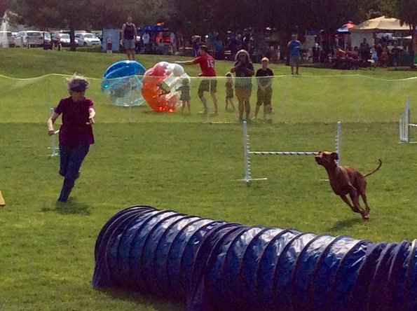 9524F960-A8DD-4CEA-96C5-BD7A0F4F587C