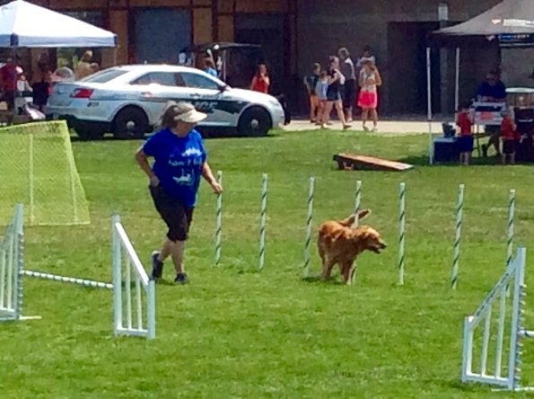 A69F5B64-85AE-49C2-8CC7-4B308C40B564