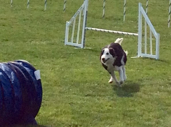 A6D22926-CEBF-47C3-A839-859DD37BFE13