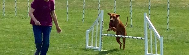 Barefoot in the Park 2018:
B4CE92D3-BA7D-40A1-95D8-1A93D996CA23