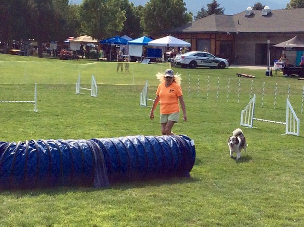 C1B14E6D-6D3B-4CD8-B578-84E20FDECDD0