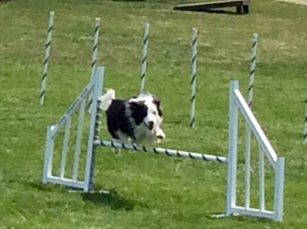 C66CB845-61A3-4156-98F7-8132D2916D2B