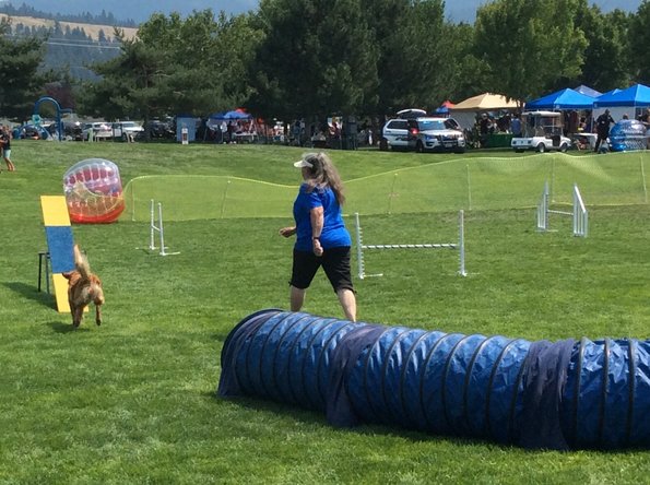 D4354EC9-5684-4FE3-9D7B-8C800D17DB88