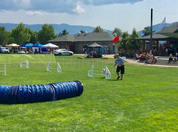 DD9FF8F8-B972-4E3D-AD3F-2E1C1FFC31E6