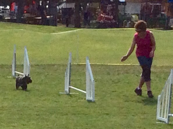 F00BE833-766A-489E-B91F-539A860ECB04