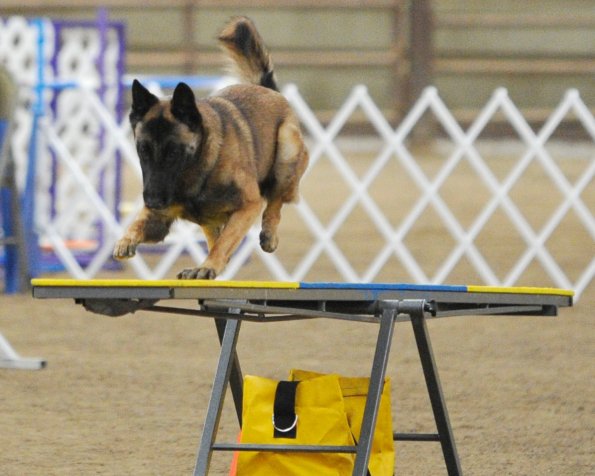 Bijou GFDTC Mar2012 teeter