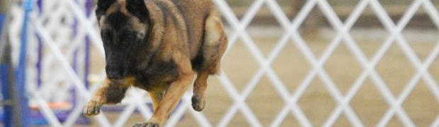 Barb Benner:
Bijou GFDTC Mar2012 teeter