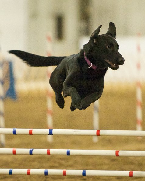 _DSC5494 - Version 2