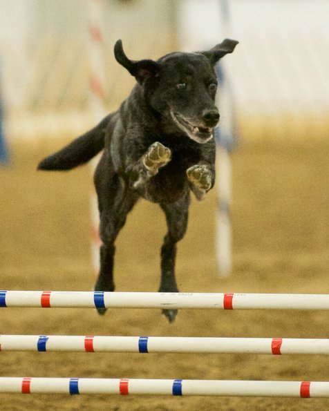 _DSC5550 - Version 2