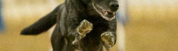 Betty Knight:
_DSC5550 - Version 2