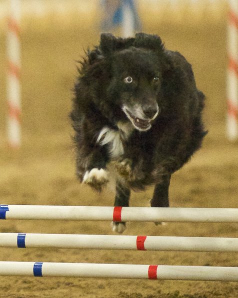 _DSC5607 - Version 2