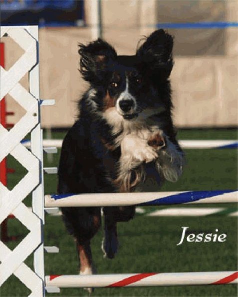 Jessie_May2009