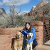 View the image: Dogs at Zion3