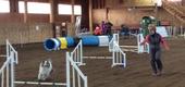 View the Album: First AKC Agility Trial
 18 images