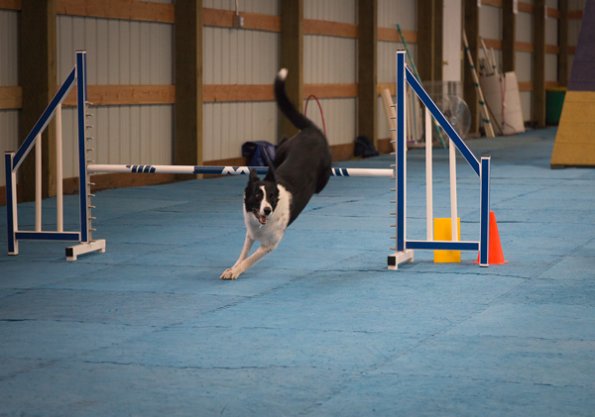 SAC Fun Match Sept 2016-13