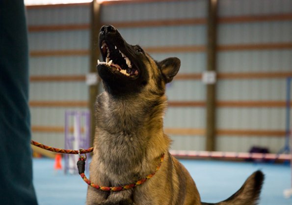 SAC Fun Match Sept 2016-19