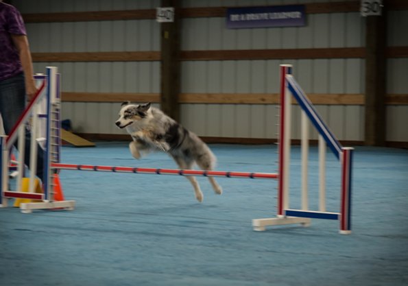 SAC Fun Match Sept 2016-1