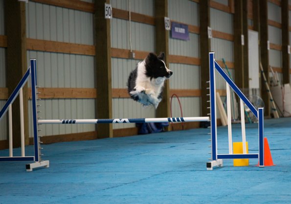 SAC Fun Match Sept 2016-22