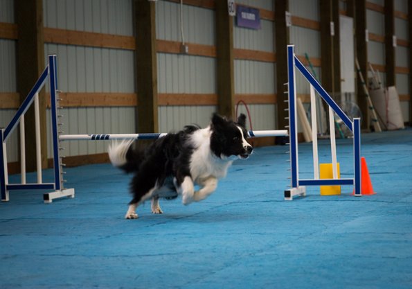 SAC Fun Match Sept 2016-23