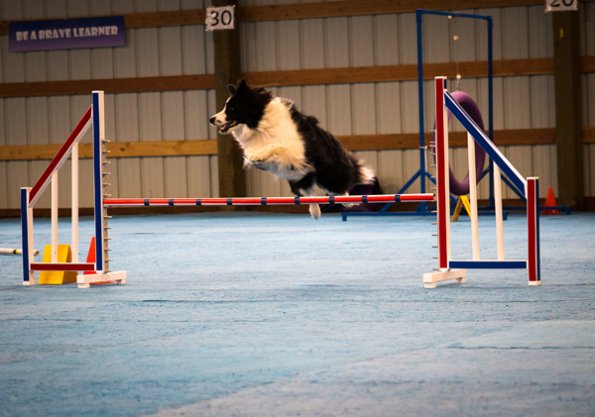 SAC Fun Match Sept 2016-25