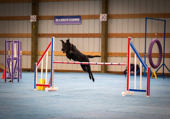 SAC Fun Match Sept 2016-26