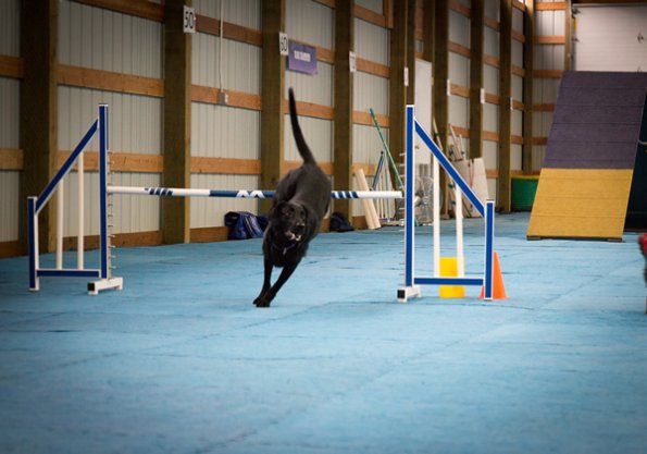 SAC Fun Match Sept 2016-27