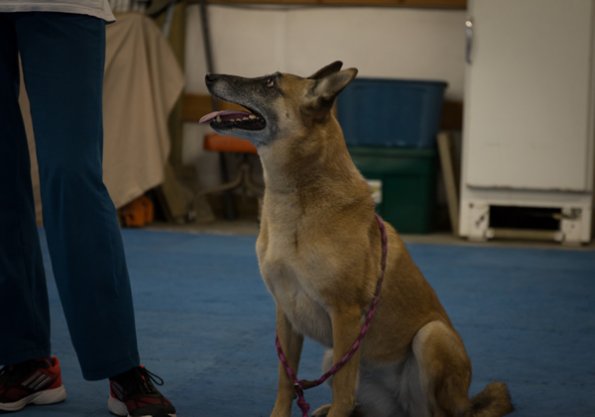 SAC Fun Match Sept 2016-2