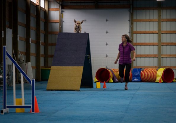 SAC Fun Match Sept 2016-33