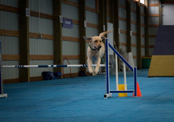 SAC Fun Match Sept 2016-36