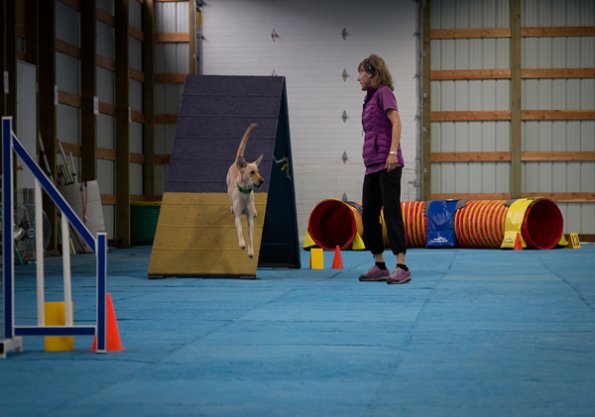 SAC Fun Match Sept 2016-38