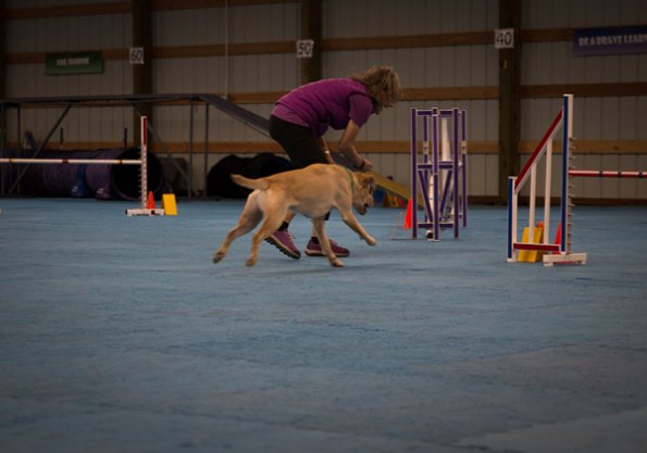 SAC Fun Match Sept 2016-39