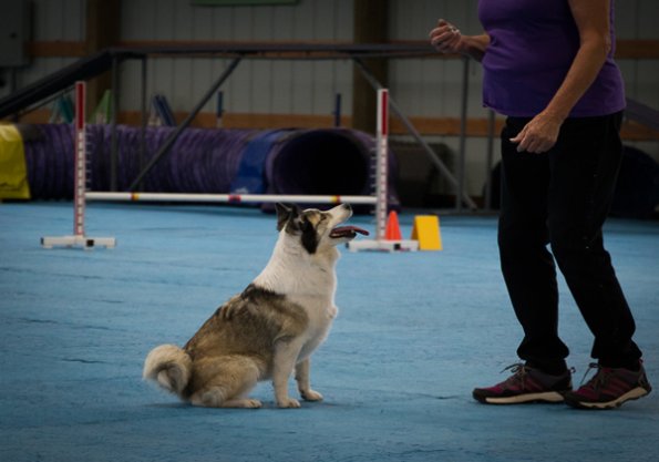 SAC Fun Match Sept 2016-3