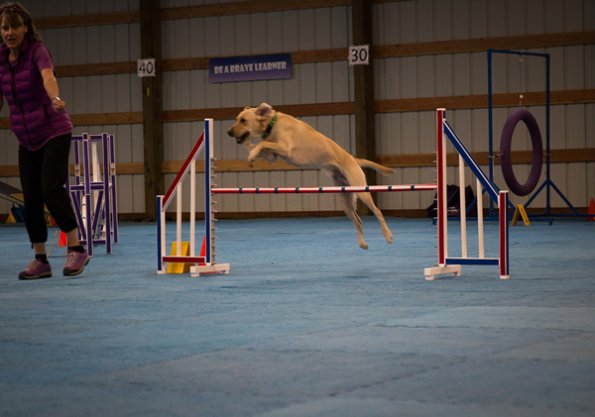 SAC Fun Match Sept 2016-41