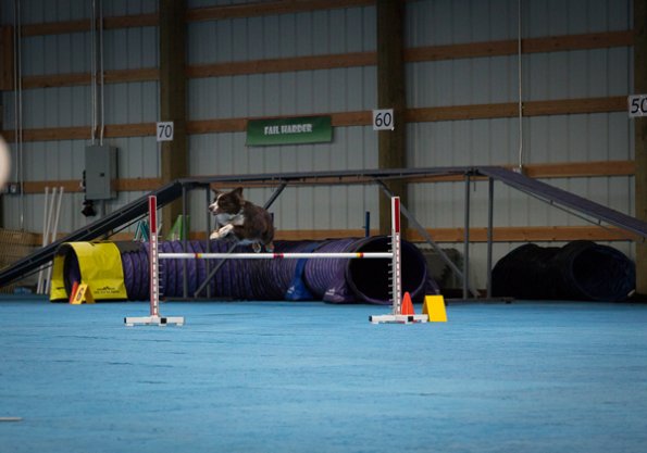 SAC Fun Match Sept 2016-43