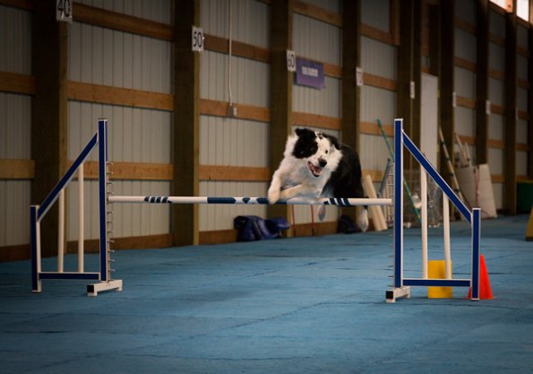 SAC Fun Match Sept 2016-46