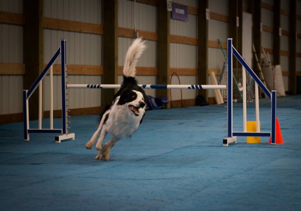 SAC Fun Match Sept 2016-47