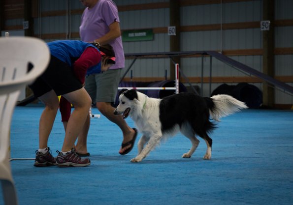 SAC Fun Match Sept 2016-48