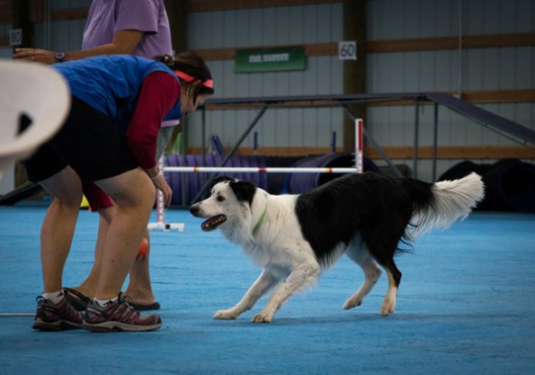 SAC Fun Match Sept 2016-49