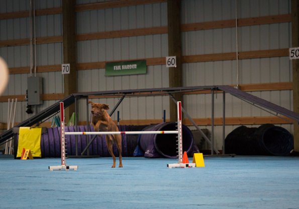 SAC Fun Match Sept 2016-50