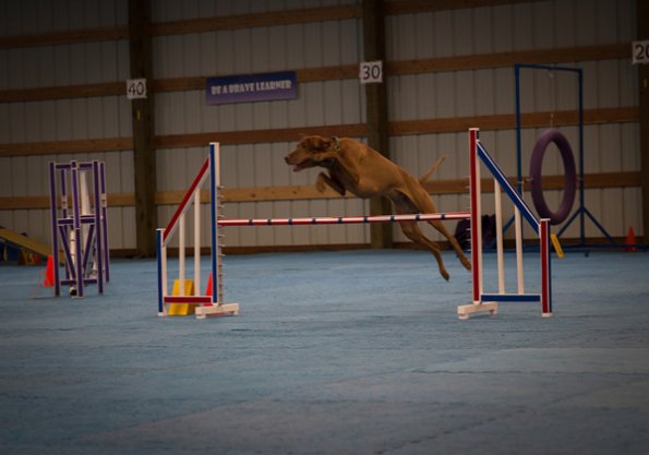 SAC Fun Match Sept 2016-54