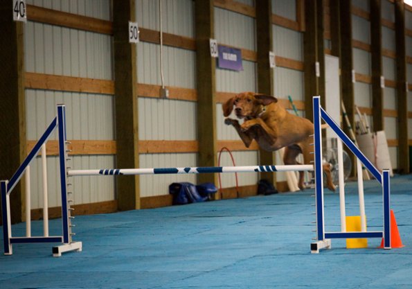 SAC Fun Match Sept 2016-55