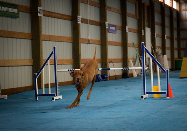 SAC Fun Match Sept 2016-56